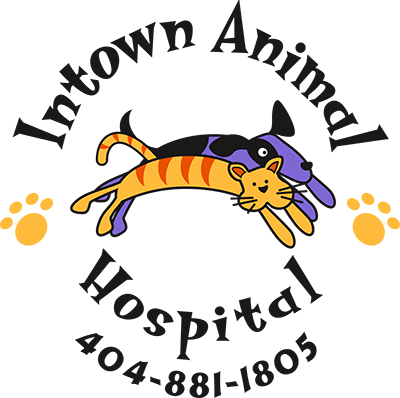 Intown Animal Hospital Logo - Click to Navigate to About Page