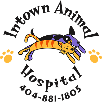 Intown Animal Hospital logo