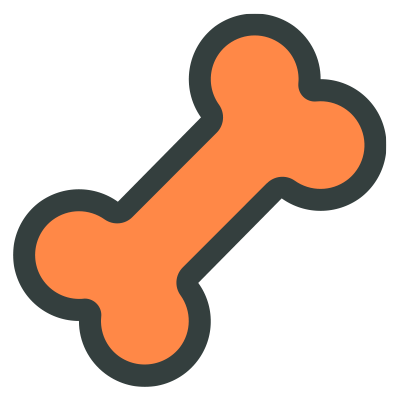 X-ray icon