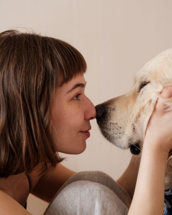 Common Pet Behavior section