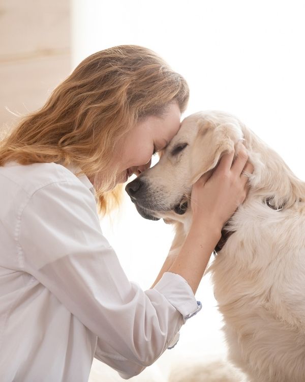 Definition of Pet Euthanasia