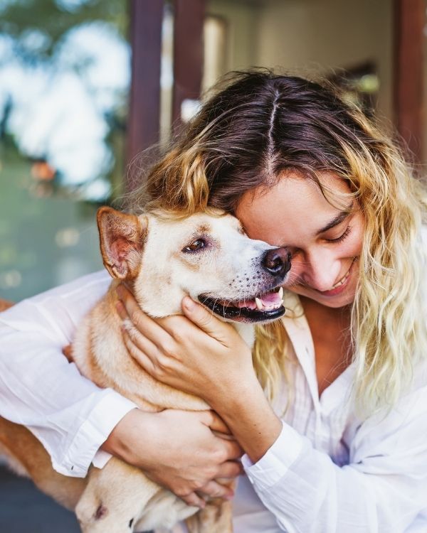 Definition of pet Geriatric Care