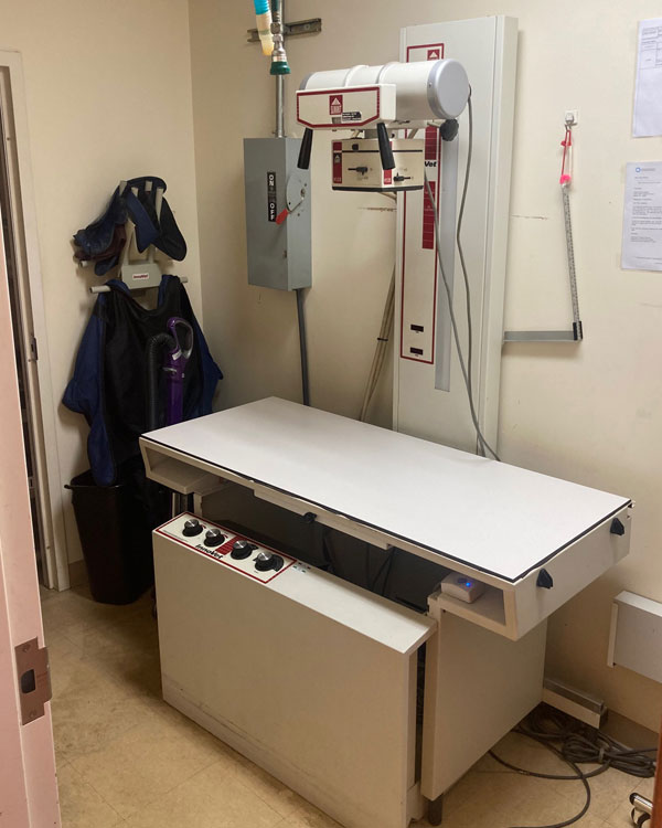 What-Are-Pet-X-Rays