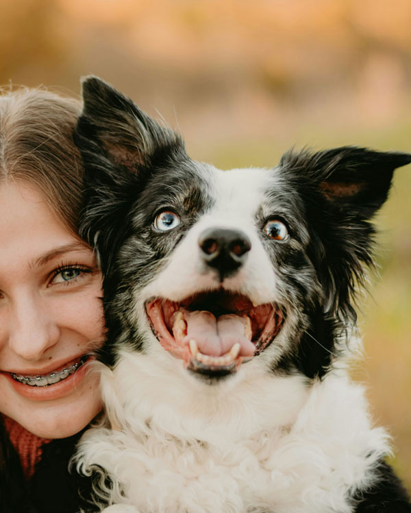 What-Is-Veterinary-Dental-Care-section