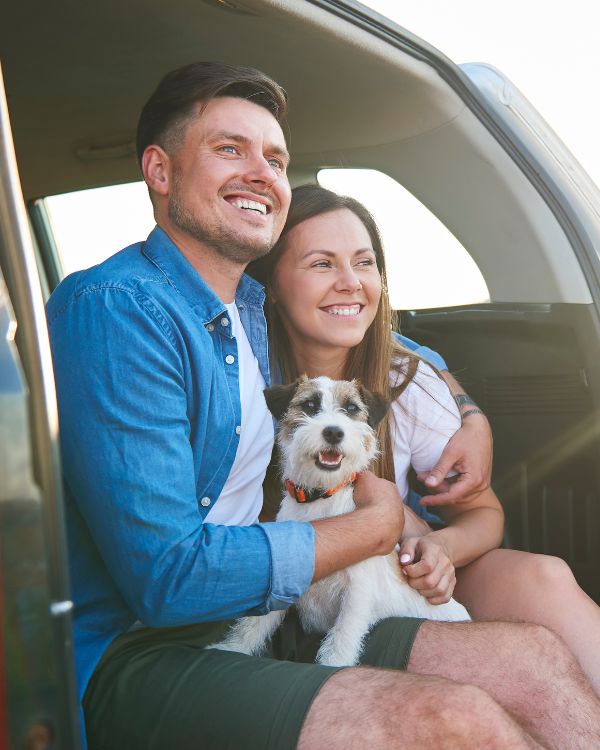 What Is a Pet Travel Health Certificate section