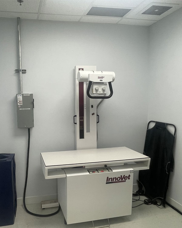Why-Pet-X-Rays-Matter