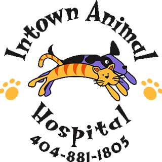 logo intown